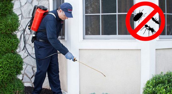 Bahçesaray Hamam Böceği İlaçlama böcek ilaçlama ve haşere kontrolü — ilaclama-tr.com